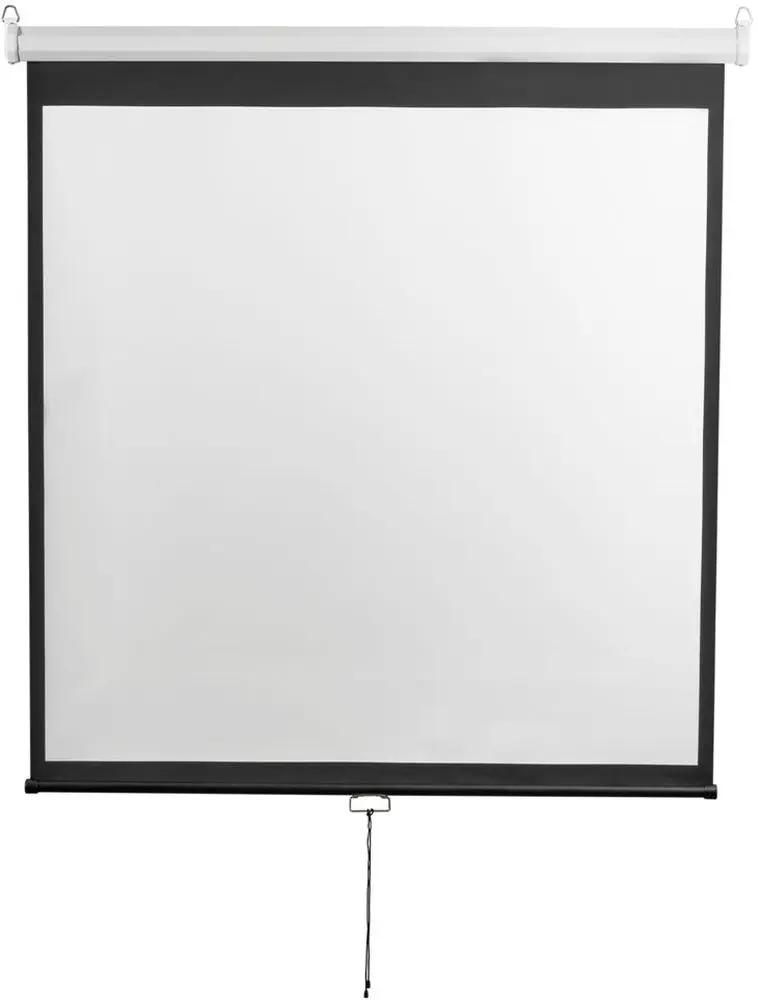 Экран  Digis Optimal-D DSOD-1105,  200х200 см, 1:1,  настенно-потолочный