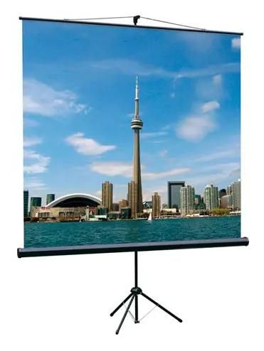 Экран Lumien Eco View LEV-100101,  150х150 см, 1:1,  напольный