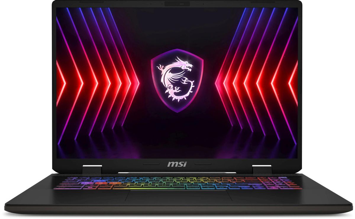 Ноутбук игровой MSI Sword 17 HX B14VGKG-048XRU 17", IPS, Intel Core i9 14900HX 2.2ГГц, 24-ядерный, 16ГБ DDR5, 1ТБ SSD,  NVIDIA GeForce  RTX 4070 для ноутбуков - 8 ГБ, без операционной системы, серый к